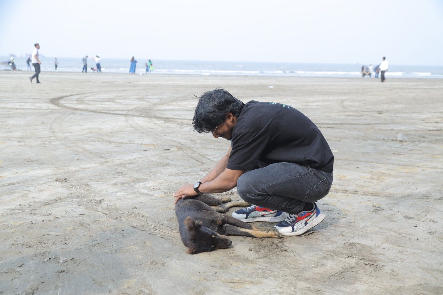 Animal Care & Tree Plantation